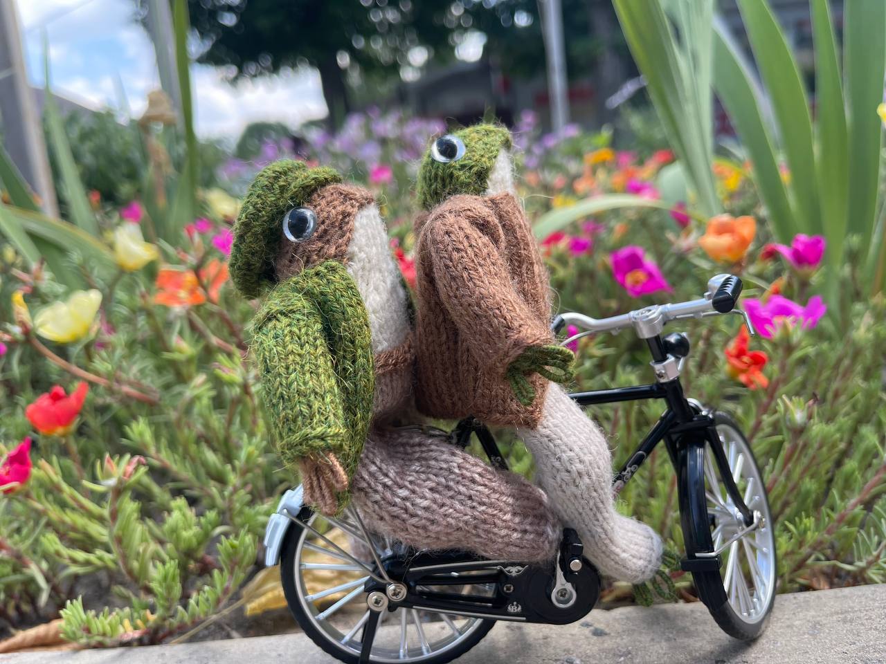Knitted frog and toad, posing frog friends as book lovers toddler gift