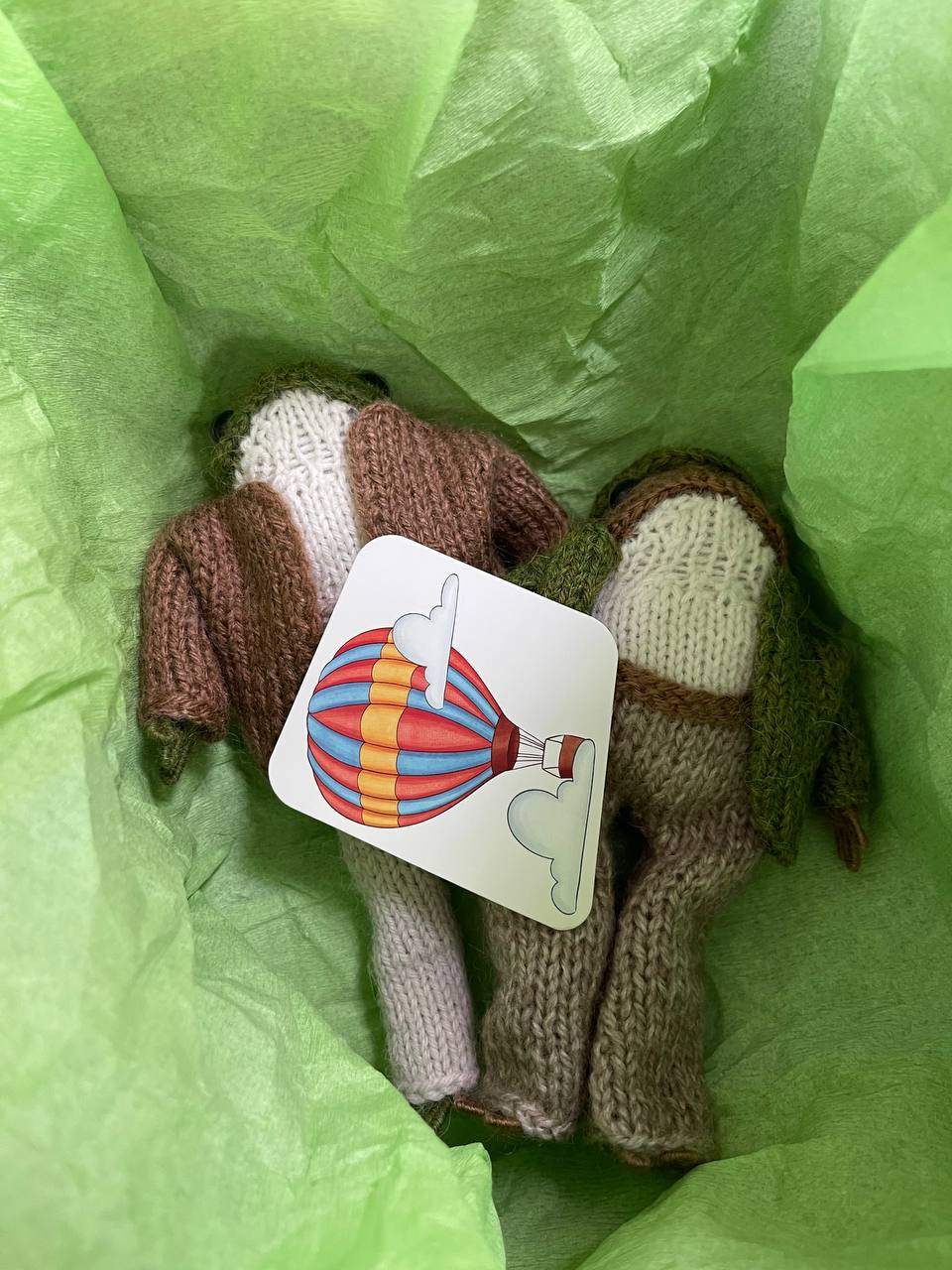 Knitted frog and toad, posing frog friends as book lovers toddler gift