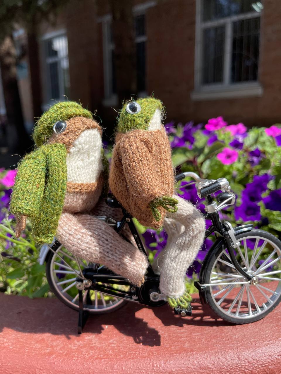 Knitted frog and toad, posing frog friends as book lovers toddler gift