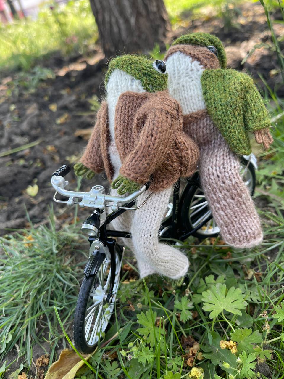Knitted frog and toad, posing frog friends as book lovers toddler gift