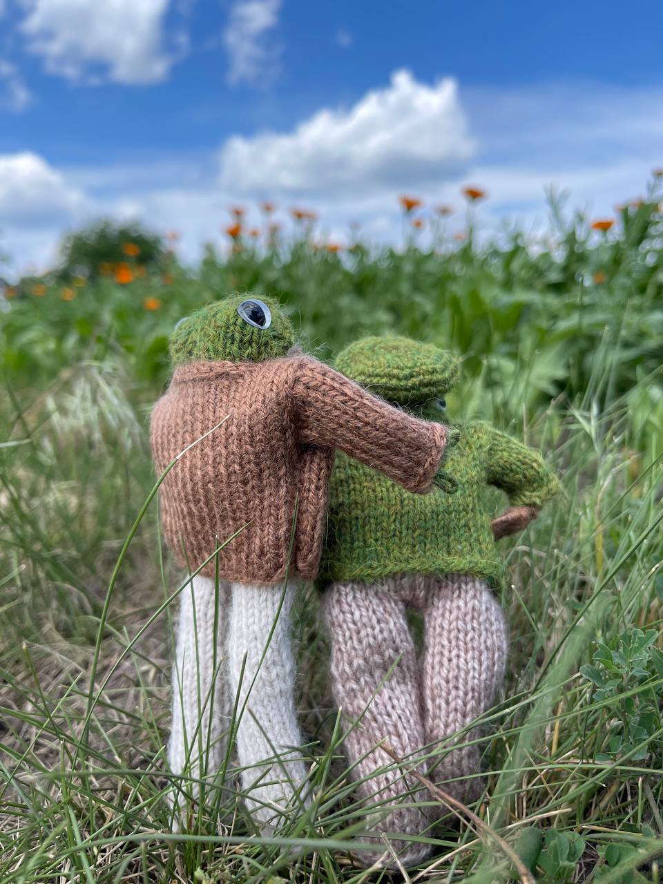 Knitted frog and toad, posing frog friends as book lovers toddler gift