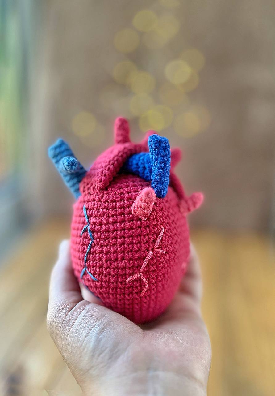 Close-up of anatomical heart crochet pattern sample