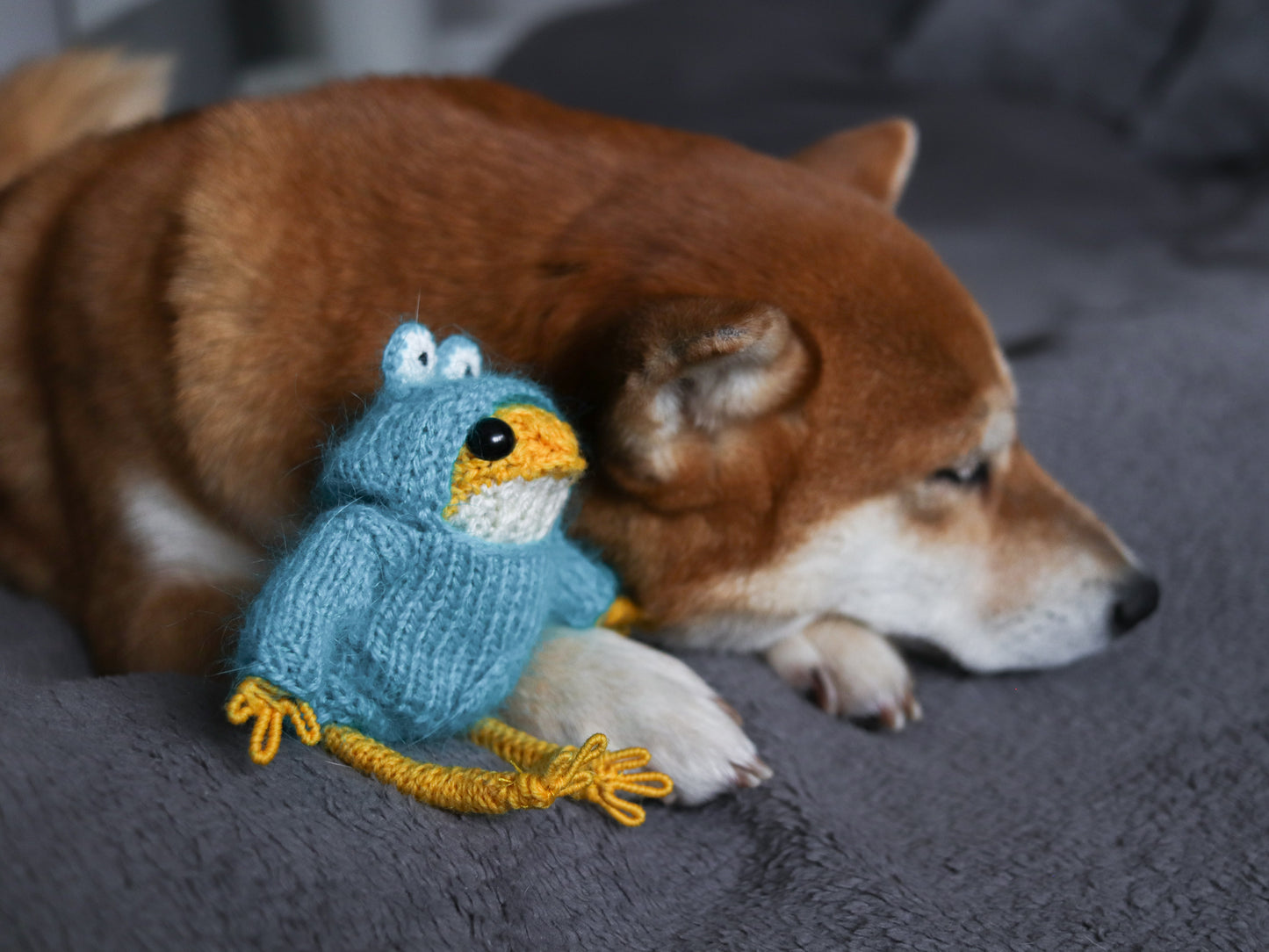 Dog playing with a knitted blue frog toy on a gray surface