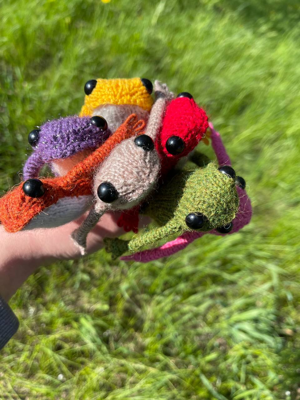 Colourful knit frog toys held against a grassy background