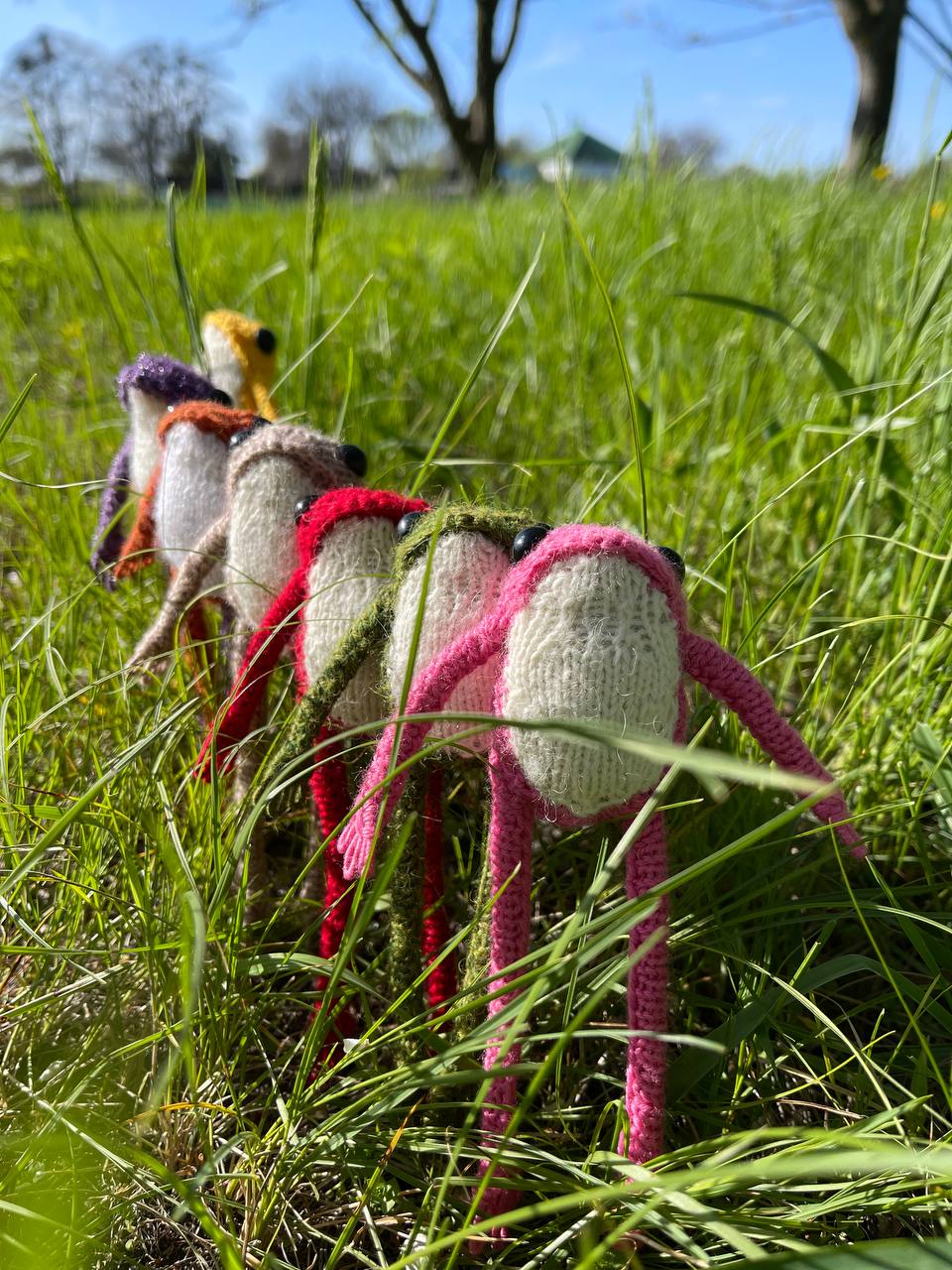 Knitted toy colorful frogs in a grassy field