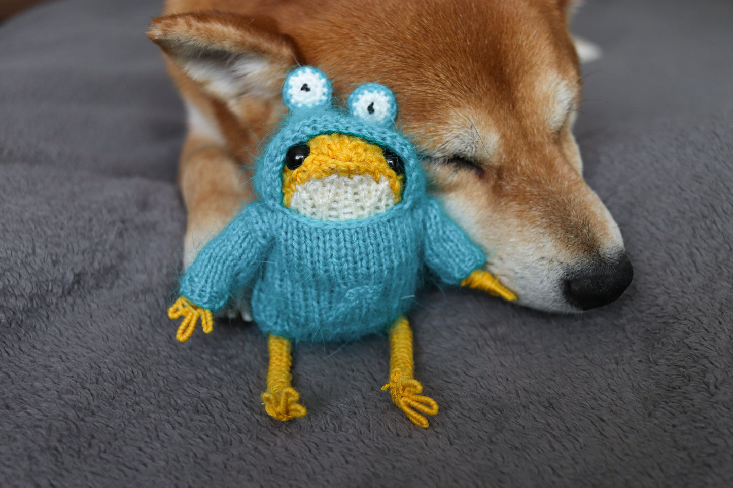 Dog lying next to a knitted blue frog toy on a gray surface