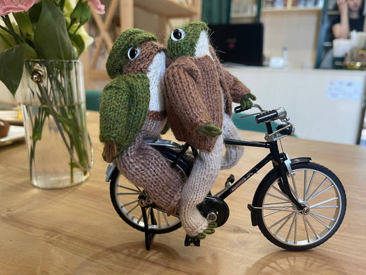 Knitted frog and toad, posing frog friends as book lovers toddler gift