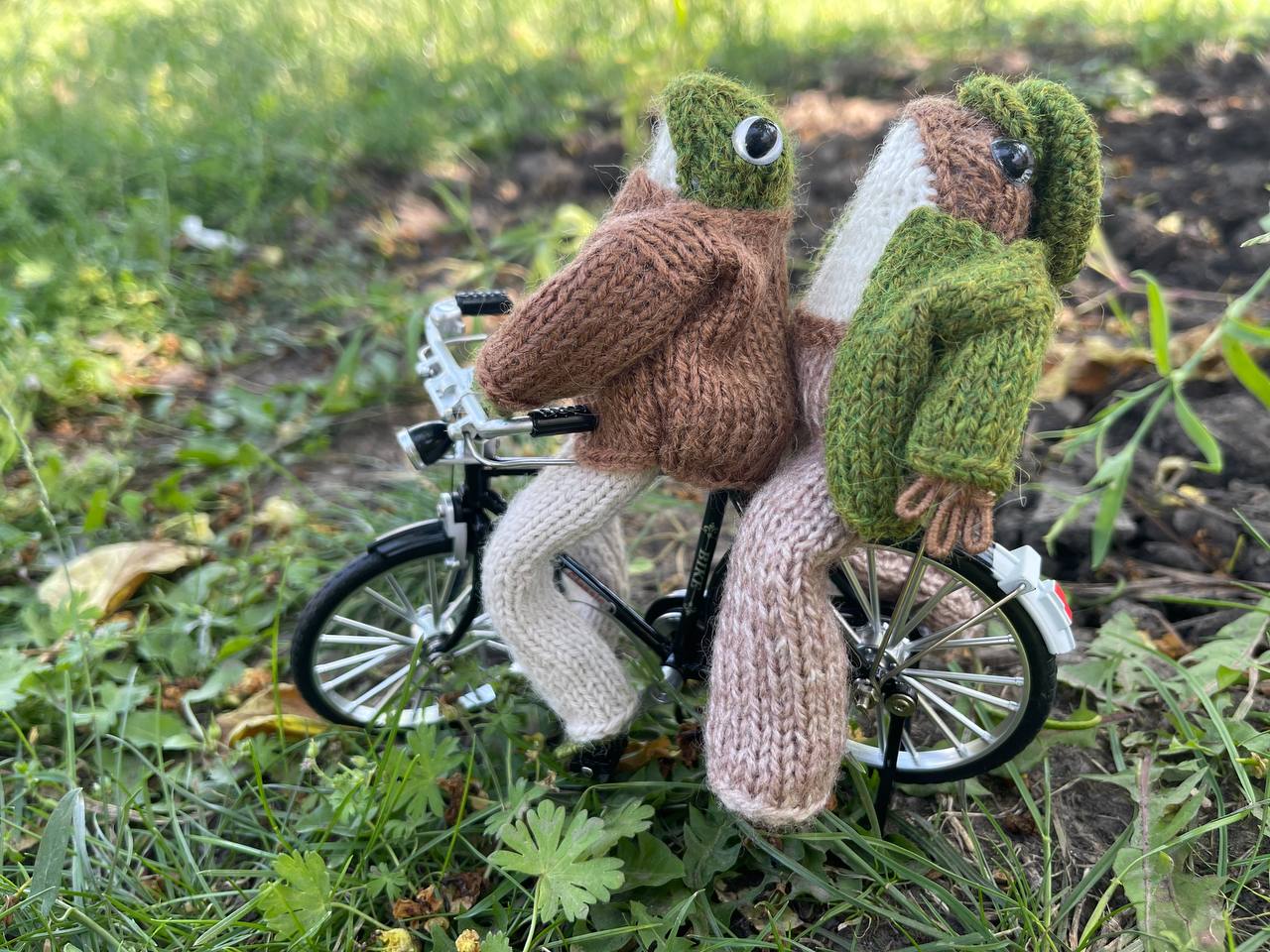 Knitted frog and toad, posing frog friends as book lovers toddler gift