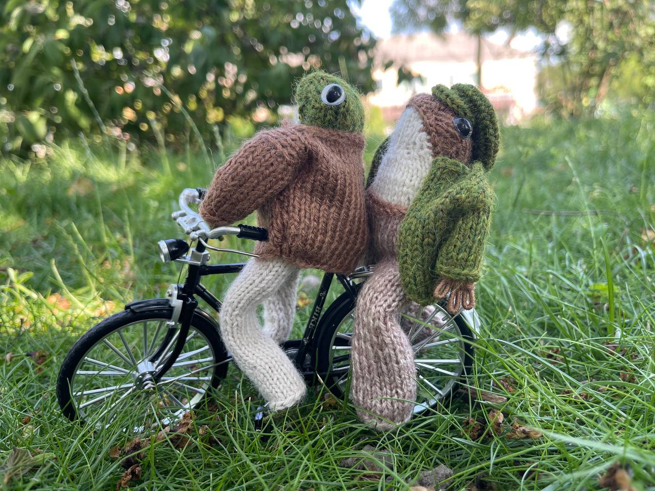 Knitted frog and toad, posing frog friends as book lovers toddler gift