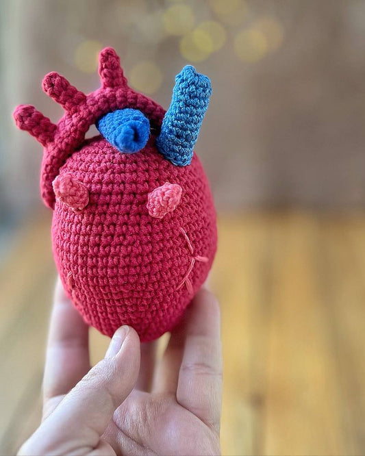 Crochet pattern anatomical heart PDF cover image